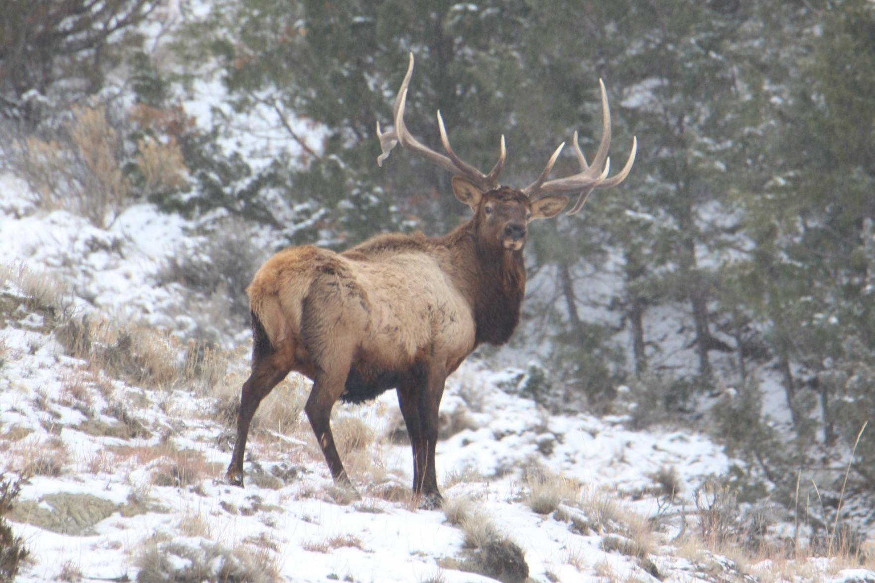 Winter In the Badlands
